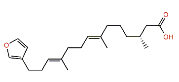 (3R,7E,11E)-14-(3-Furanyl)-3,7,11-trimethyl-7,11-tetradecadienoic acid